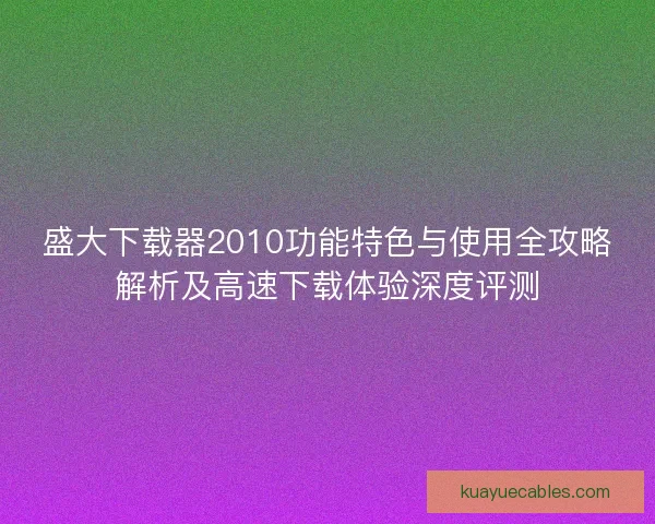 盛大下载器2010功能特色与使用全攻略解析及高速下载体验深度评测